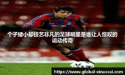 个子矮小却技艺非凡的足球明星是谁让人惊叹的运动传奇